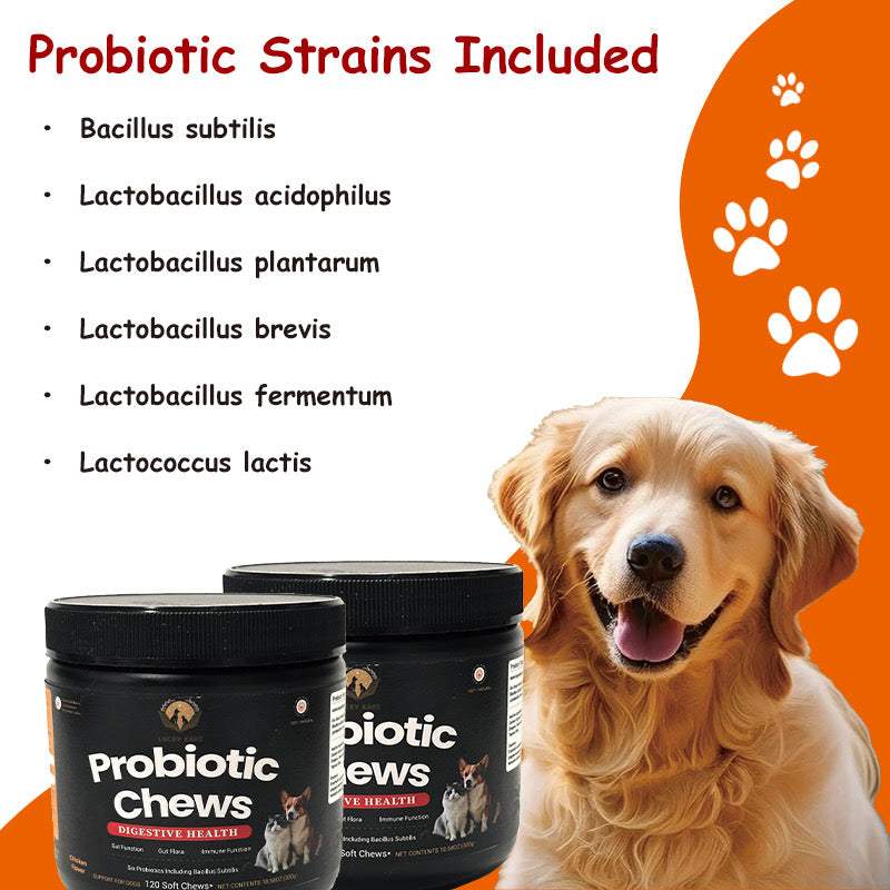 Lucky Kare Probiotic Chews for Dogs & Cats – Digestive Health & Immune Support – 120 Soft Chews