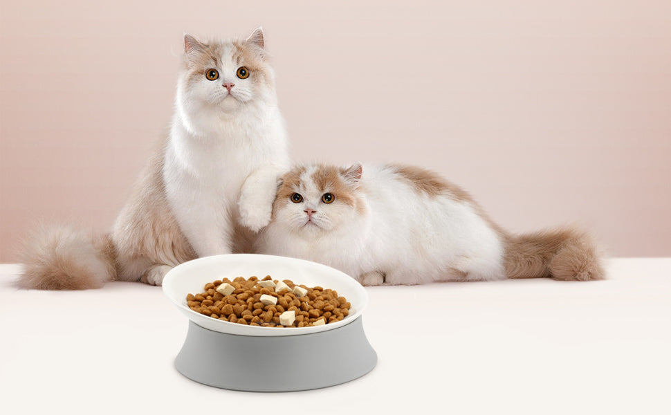 Elevated Cat Bowls, Raised Food Dishes with Silicone Base and Adjustable Shallow Plates for Indoor Cats