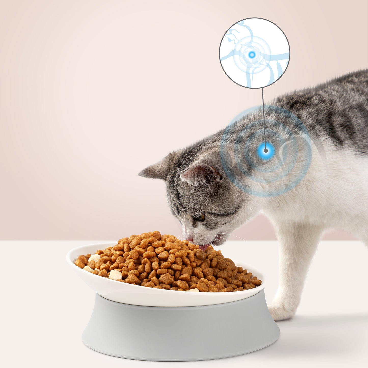 Elevated Cat Bowls, Raised Food Dishes with Silicone Base and Adjustable Shallow Plates for Indoor Cats
