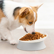 Elevated Cat Bowls, Raised Food Dishes with Silicone Base and Adjustable Shallow Plates for Indoor Cats
