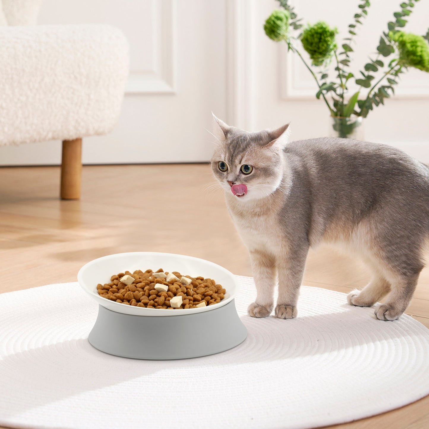 Elevated Cat Bowls, Raised Food Dishes with Silicone Base and Adjustable Shallow Plates for Indoor Cats