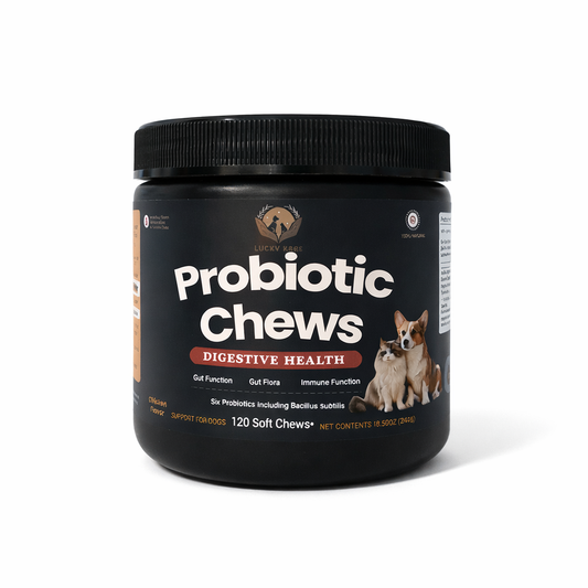Lucky Kare Probiotic Chews for Dogs & Cats – Digestive Health & Immune Support – 120 Soft Chews
