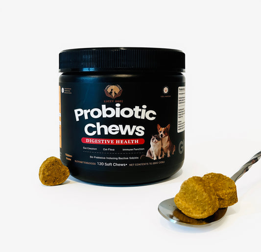 Lucky Kare Probiotic Chews for Dogs & Cats – Digestive Health & Immune Support – 120 Soft Chews