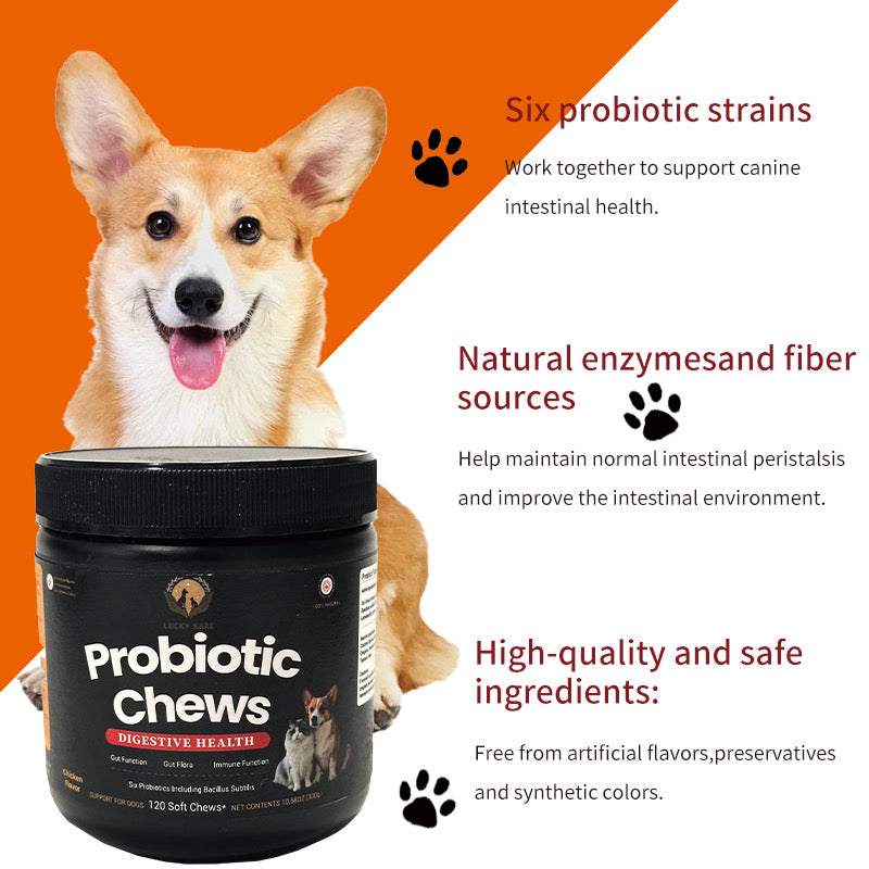 Lucky Kare Probiotic Chews for Dogs & Cats – Digestive Health & Immune Support – 120 Soft Chews