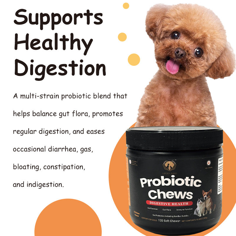 Lucky Kare Probiotic Chews for Dogs & Cats – Digestive Health & Immune Support – 120 Soft Chews